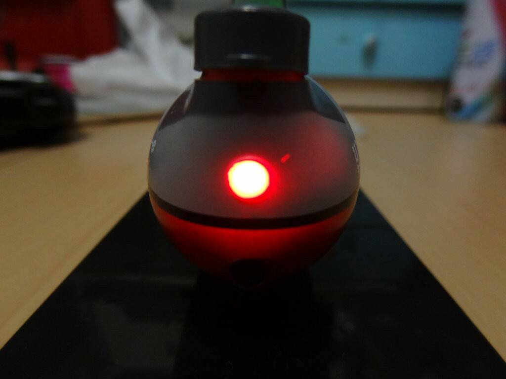 DSC07913.JPG