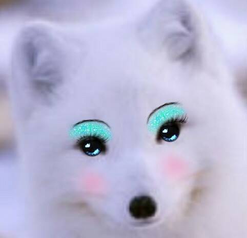 20130424050140730.jpg