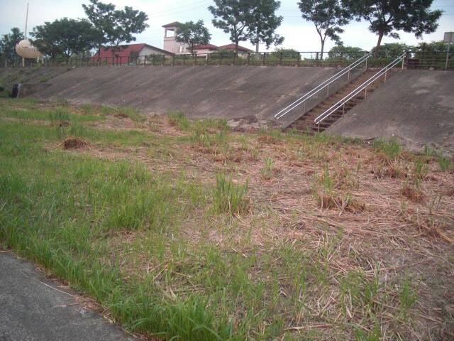 CIMG0248.JPG