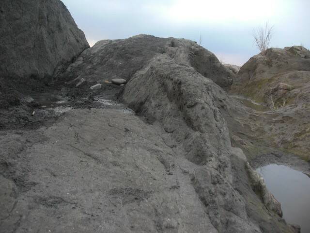 CIMG0236.JPG