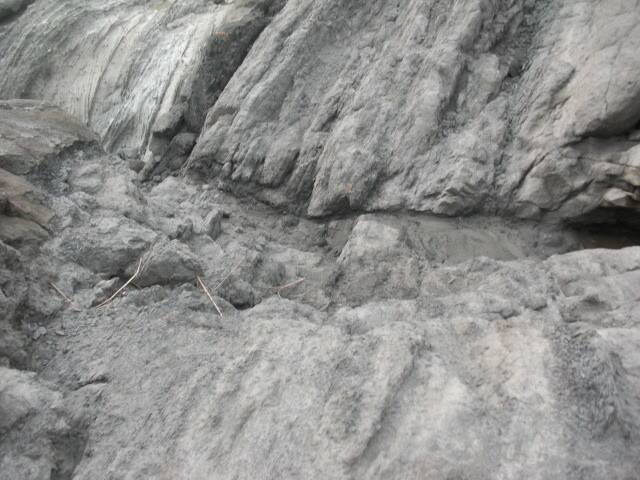 CIMG0238.JPG