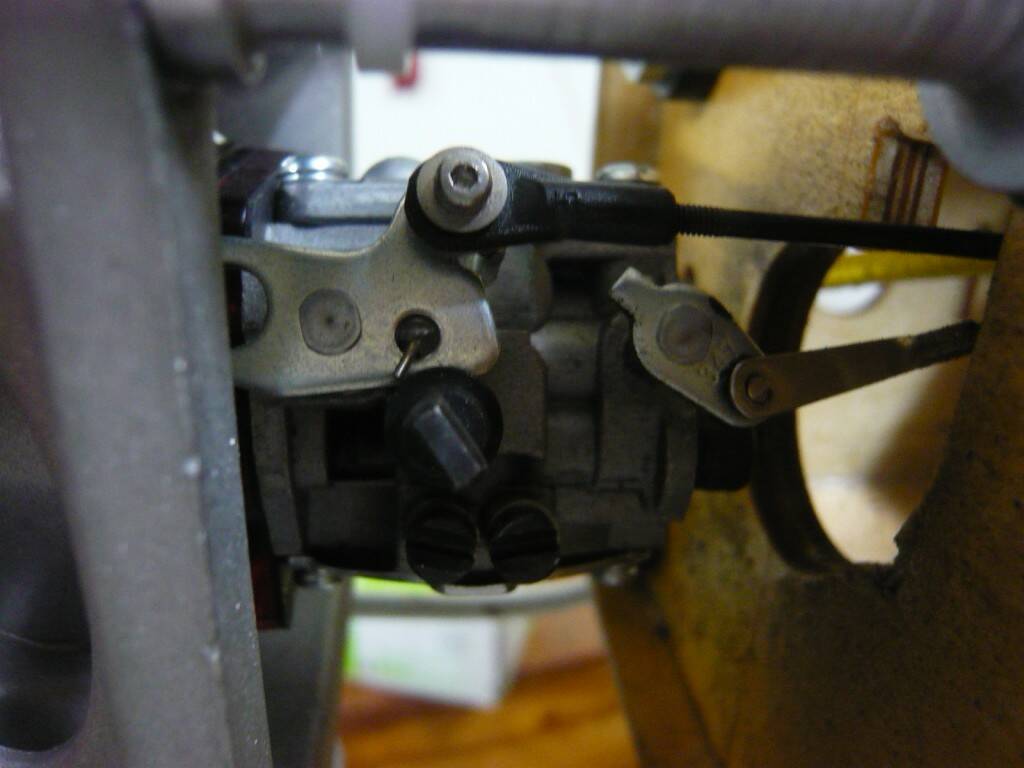 P1220170.JPG