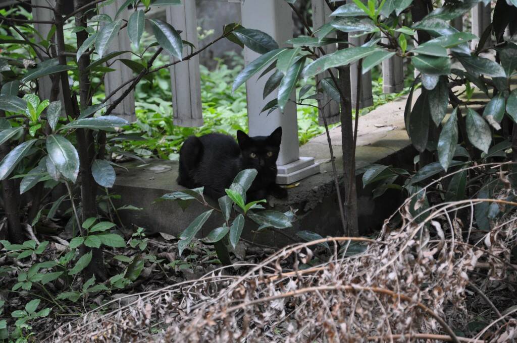 DSC_0105.jpg