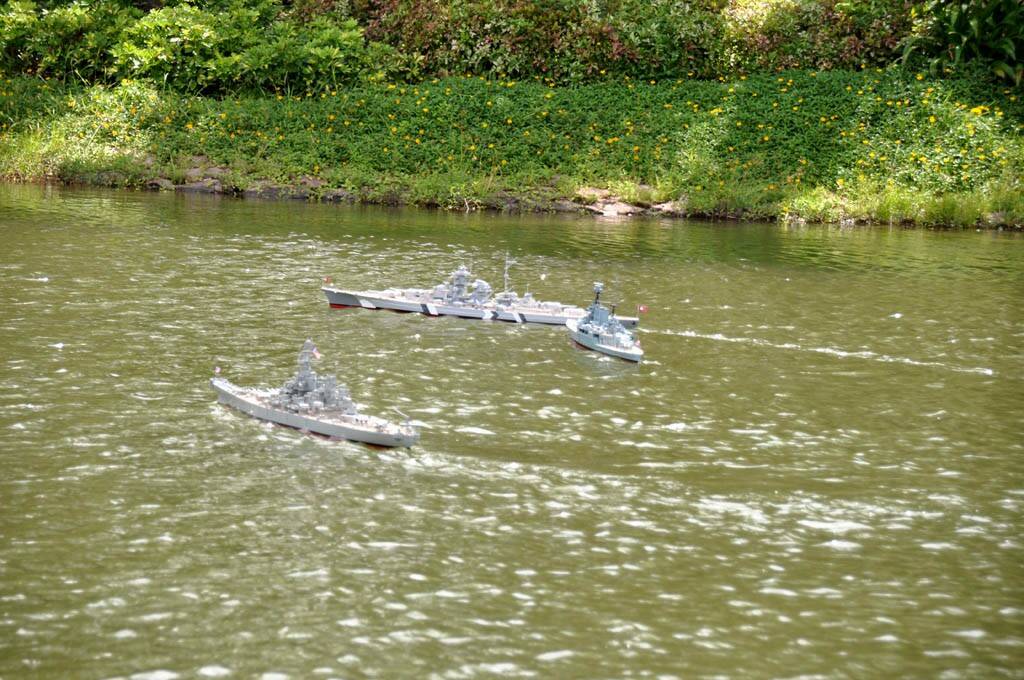 DSC_1563.JPG
