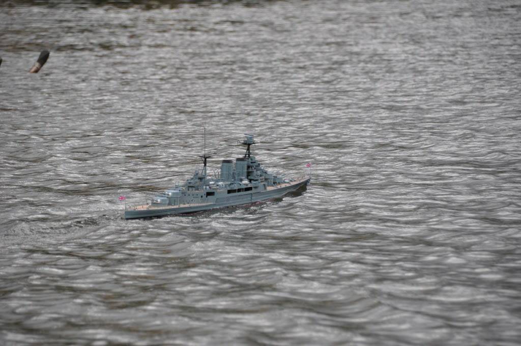 DSC_1581.JPG