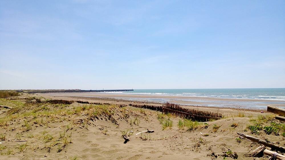 WP_20130803_018.jpg