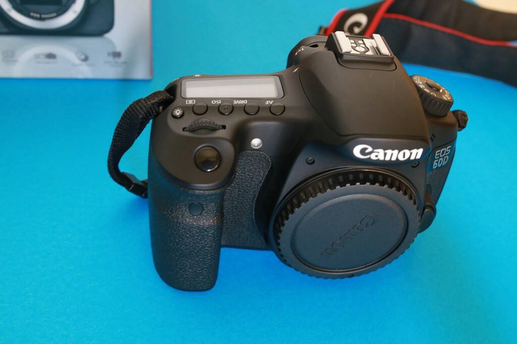 IMG_0138_1.jpg