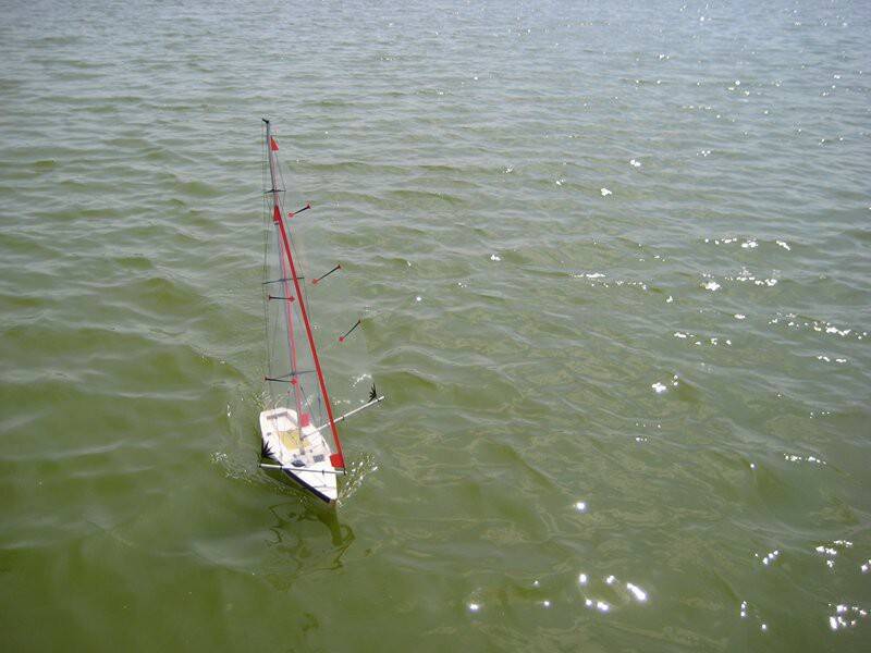 m_IMG_0067.JPG