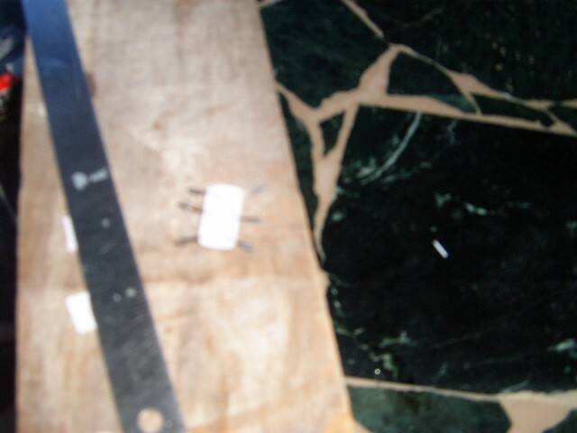 S3702799.JPG