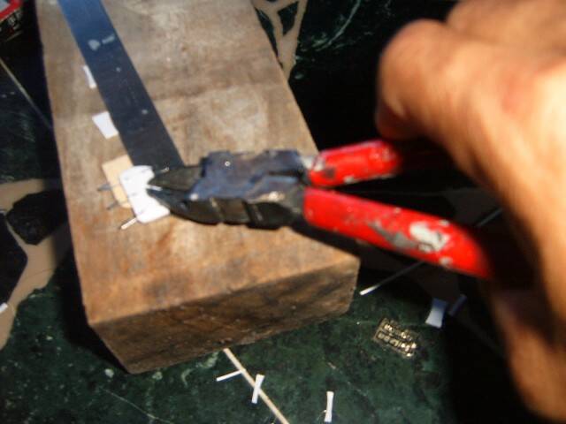 S3702798.JPG