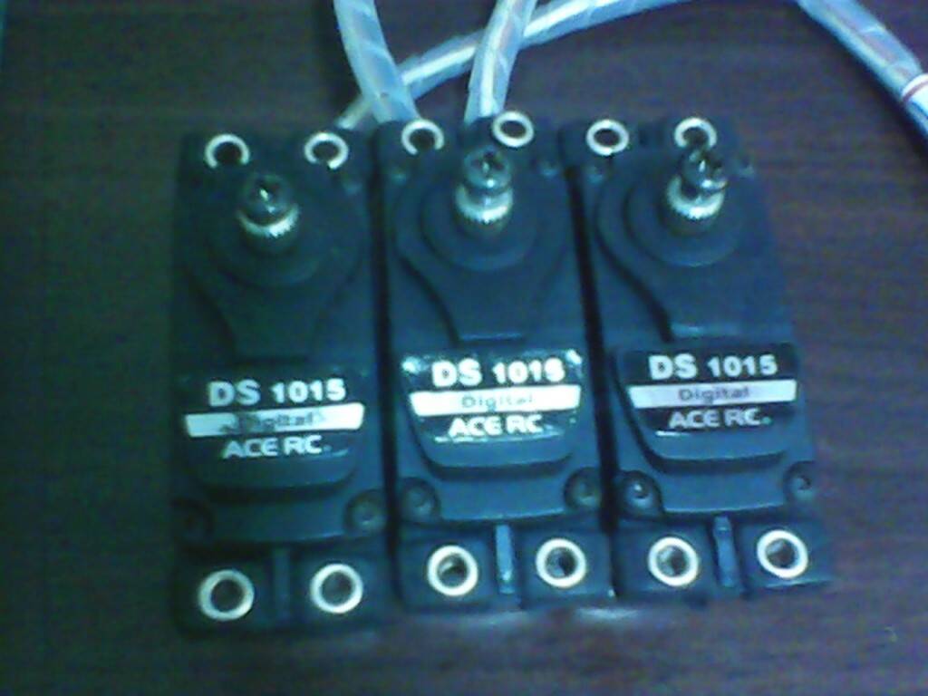 IMG00405.jpg