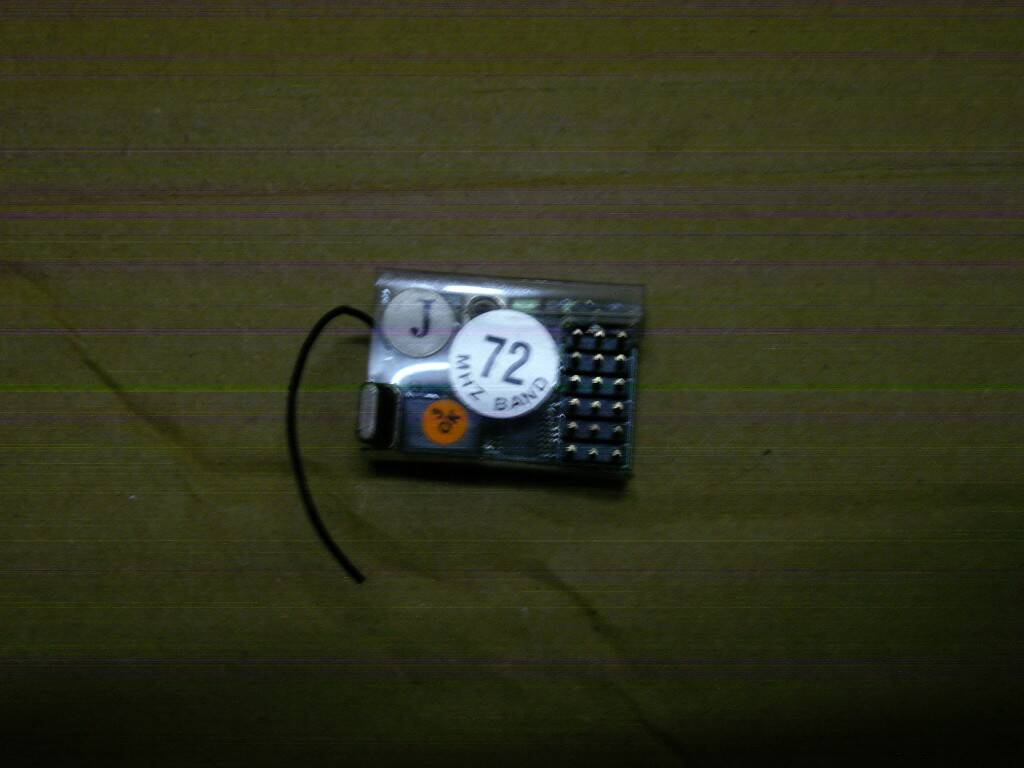 IMGP1136.JPG