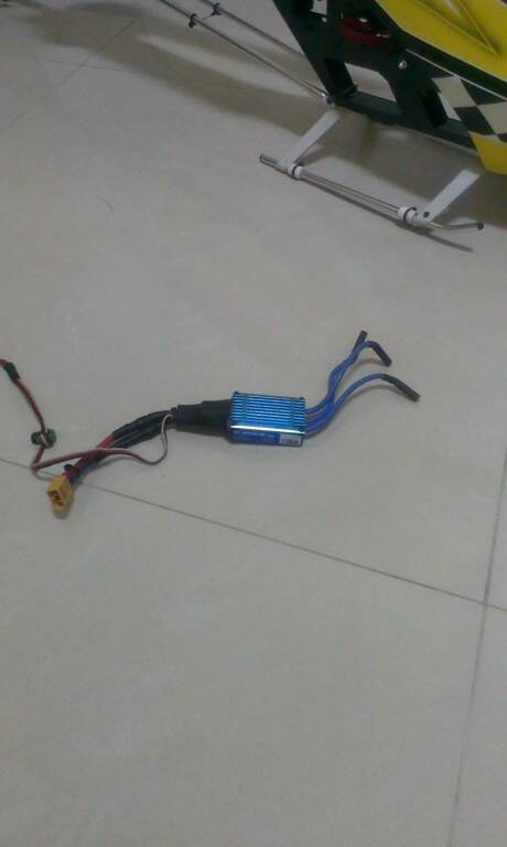 IMAG0433.jpg