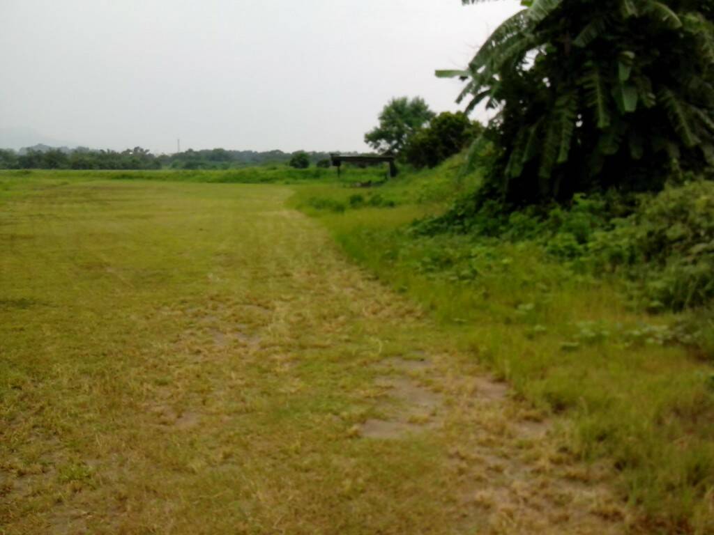 IMG_20130817_152431.jpg