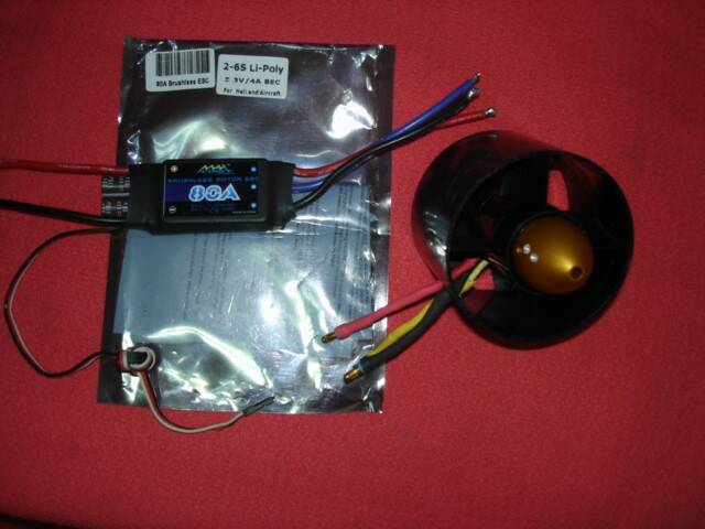 DSC00404.JPG