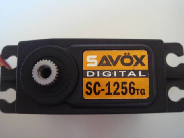 DSC08442.JPG