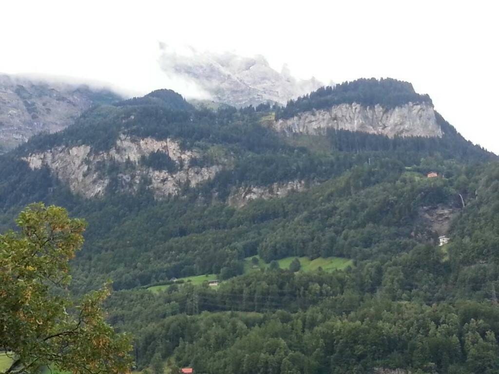 315.jpg