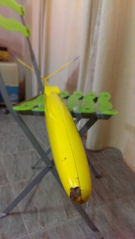 IMAG1387.jpg