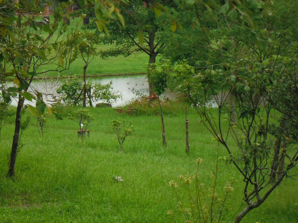 DSCF2598.JPG