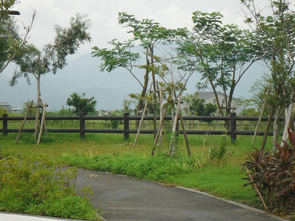 這裡一個池