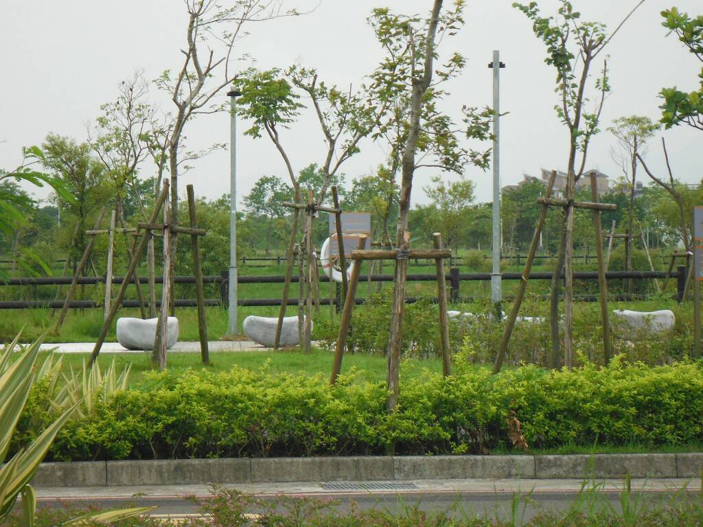 有救生圈就有池