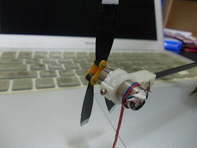 DSCN3774.JPG