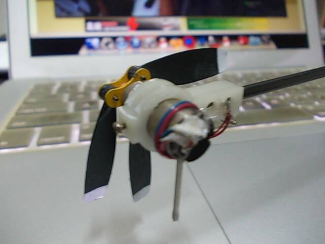 DSCN3772.JPG