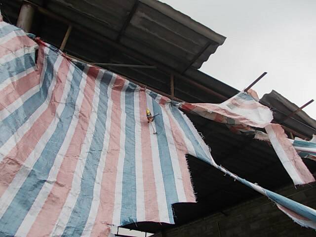 DSCN3777.JPG