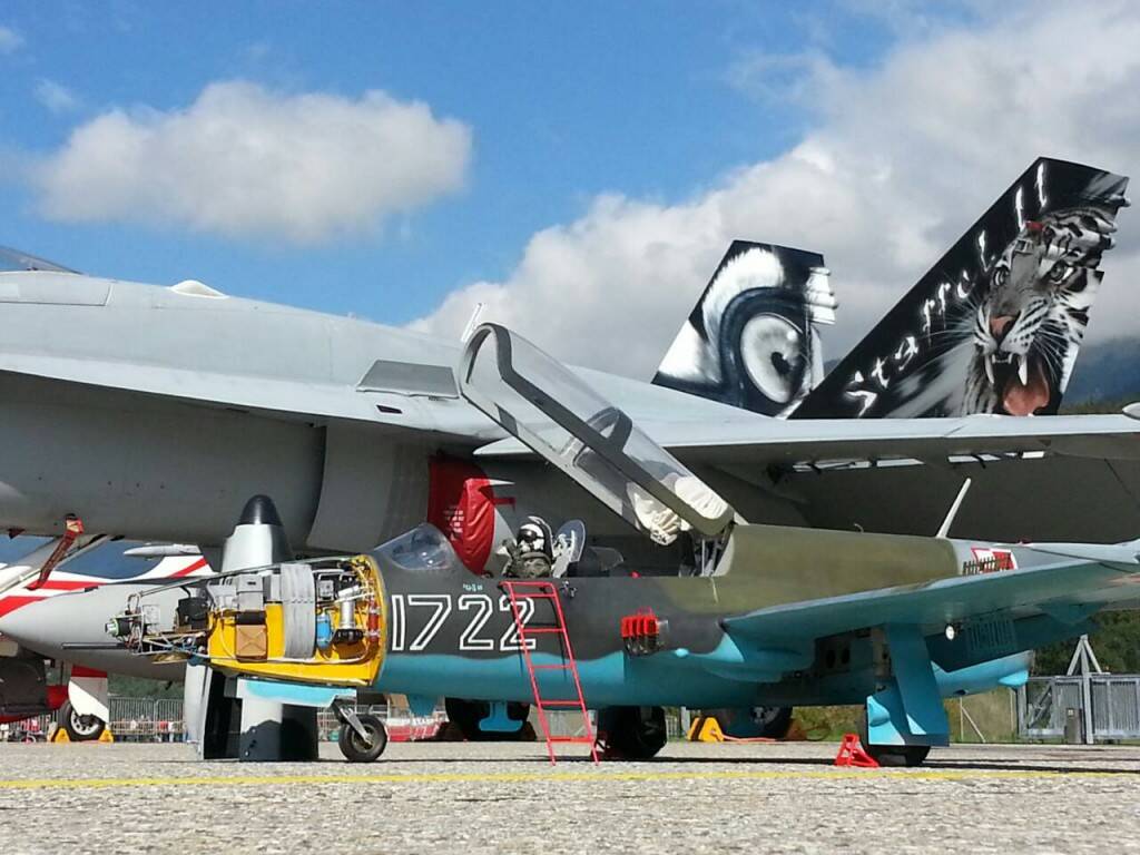 546.jpg