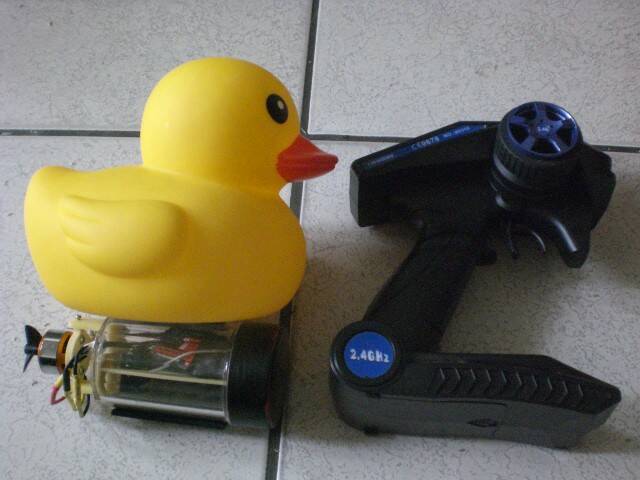 CIMG1105.JPG
