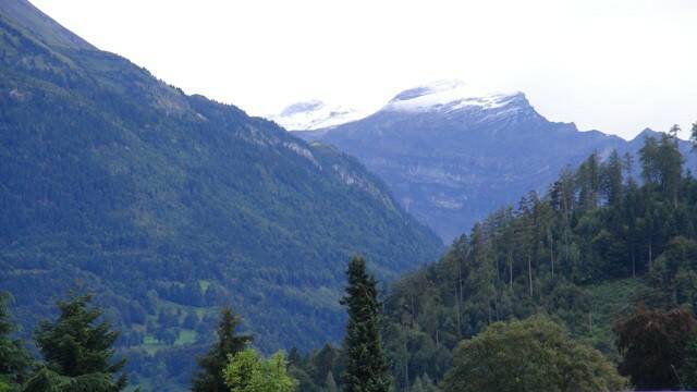 DSC00779.JPG