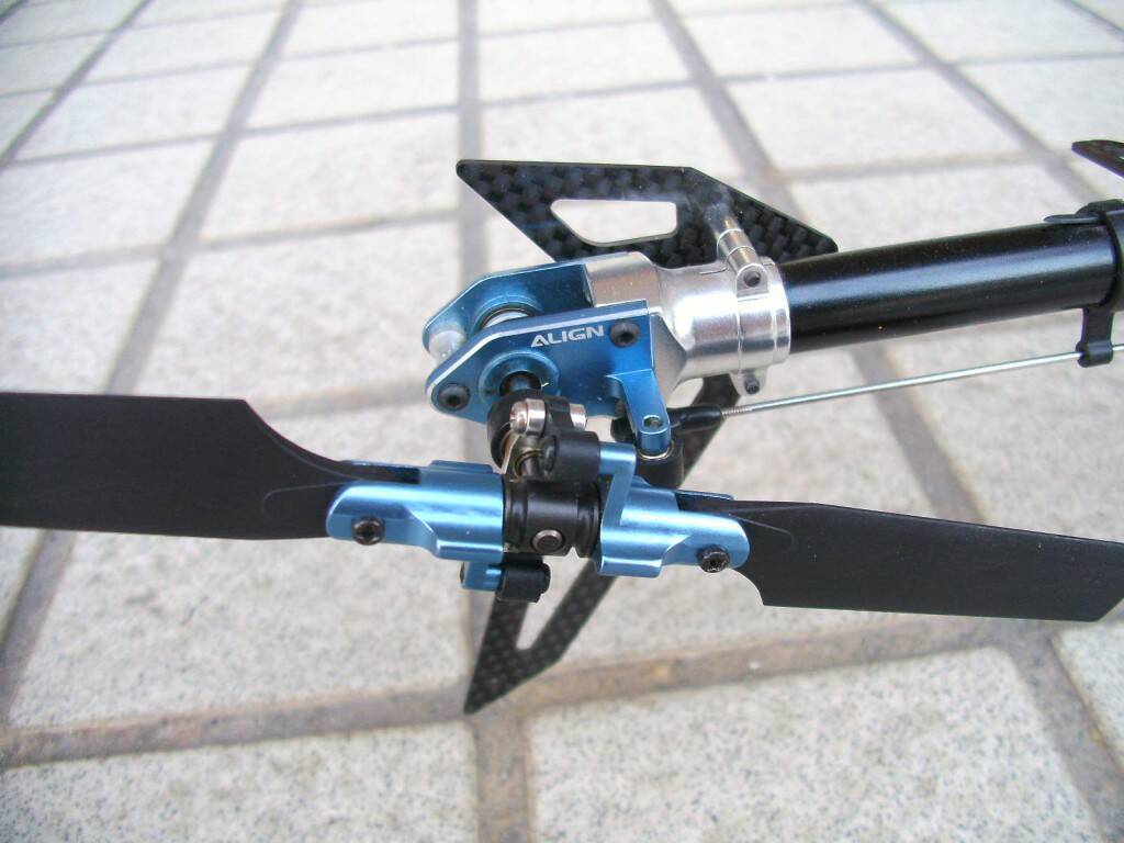 SANY7076.JPG