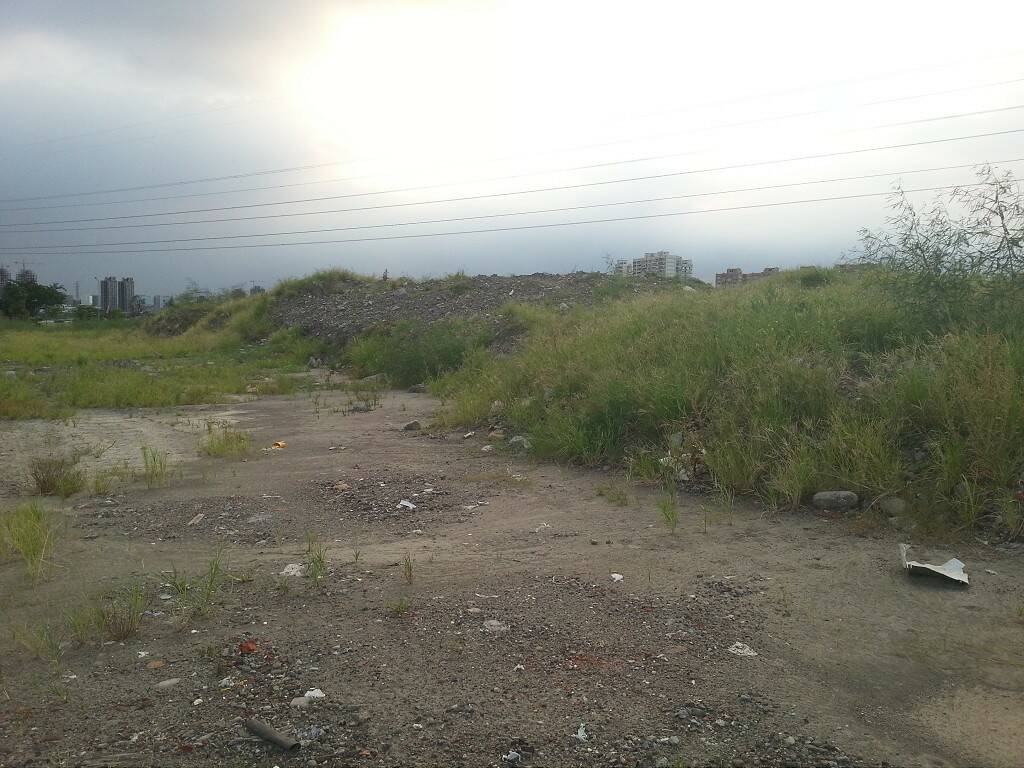 20130912_173341-1024.jpg