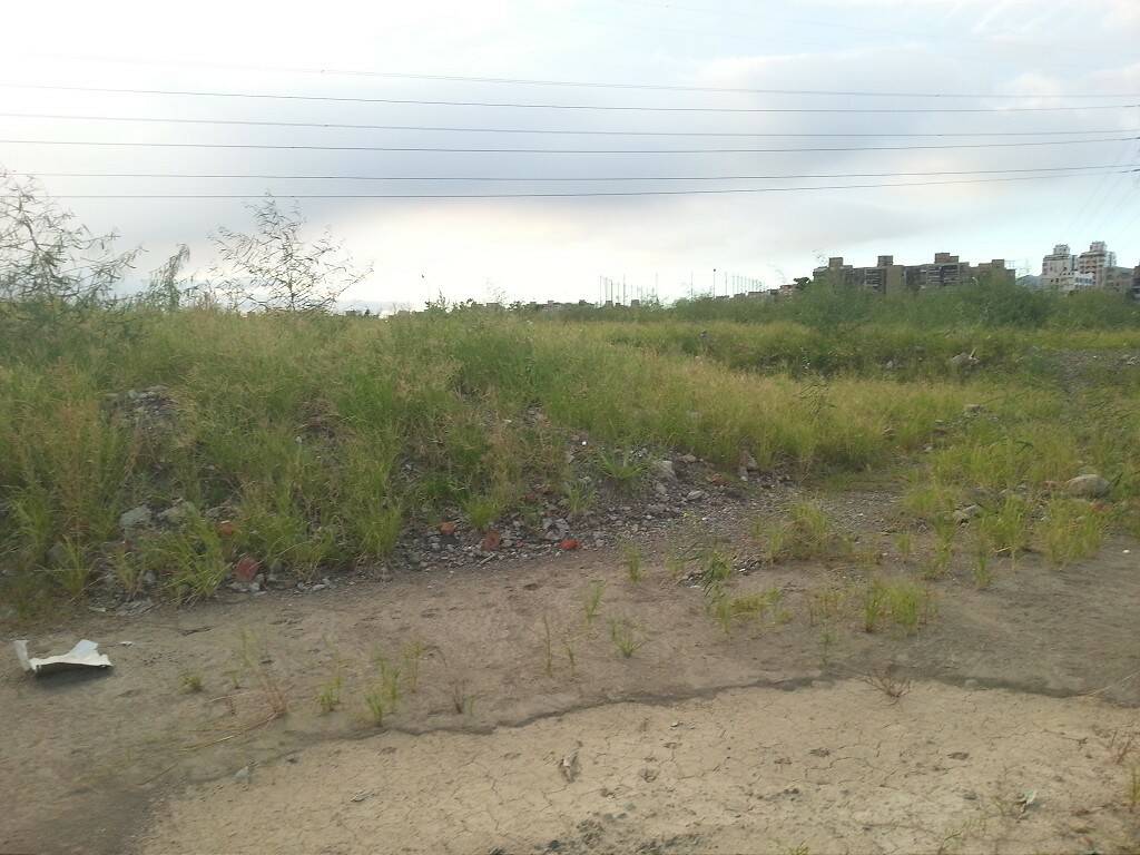 20130912_173344-1024.jpg