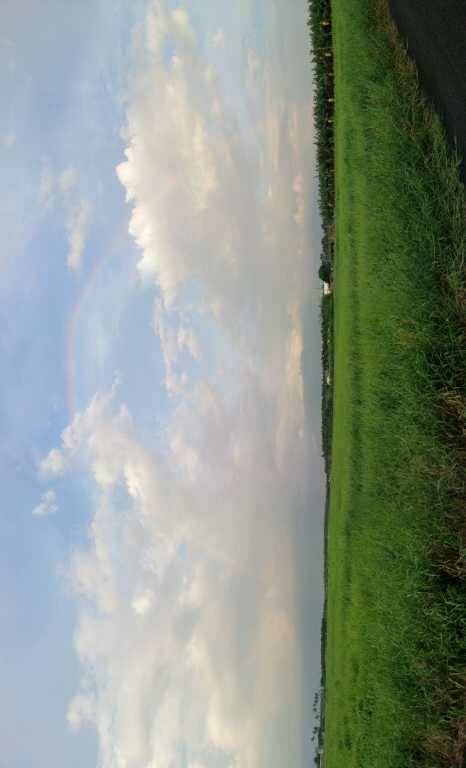 20130819_175307.jpg