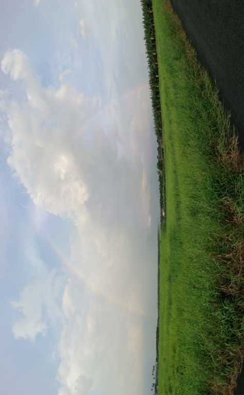 20130819_174541.jpg
