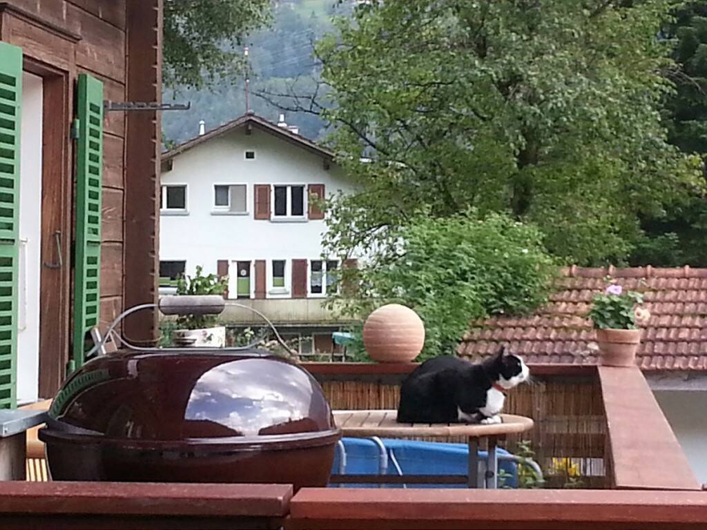20130829_235011-1200.jpg