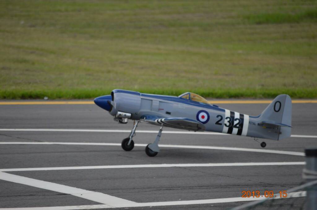 DSC_0304.JPG