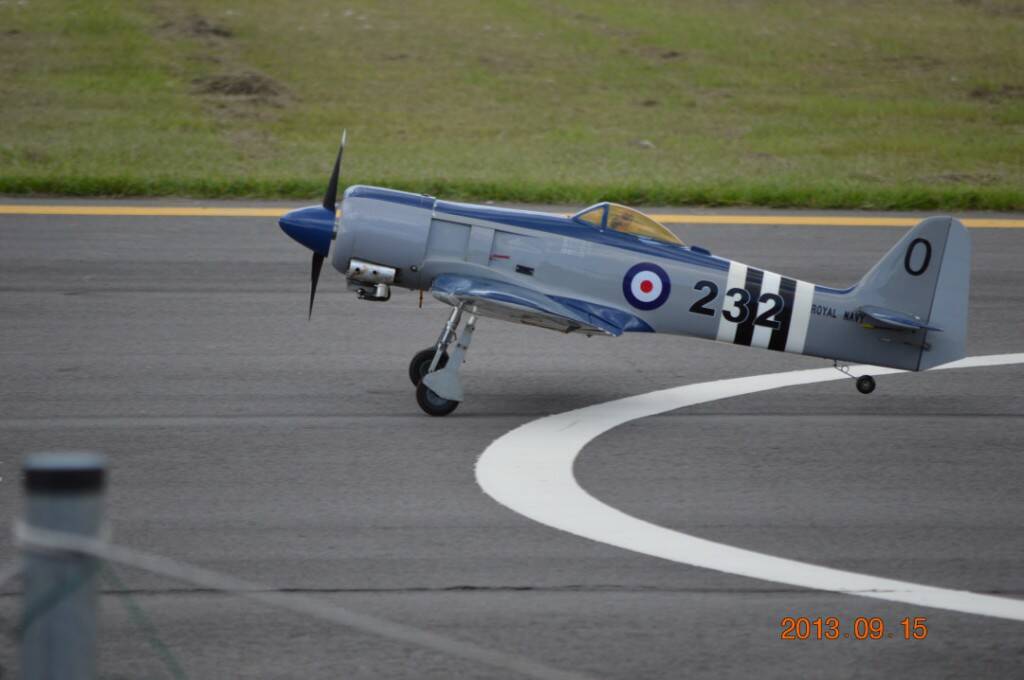 DSC_0306.JPG