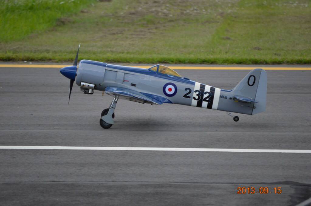 DSC_0307.JPG