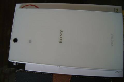 DSC0242100000.jpg