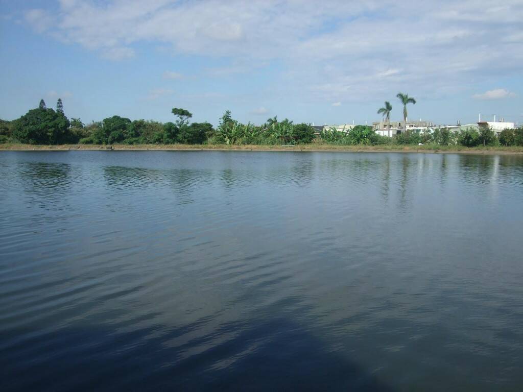 DSCF1148.JPG