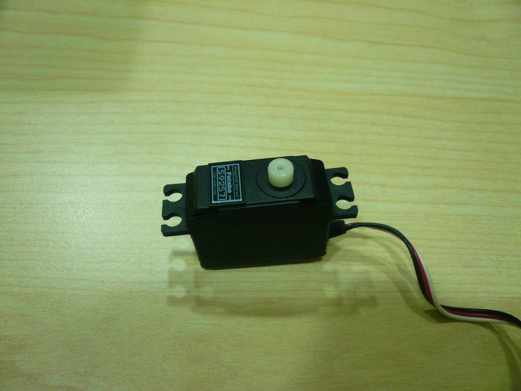 P1000284.JPG