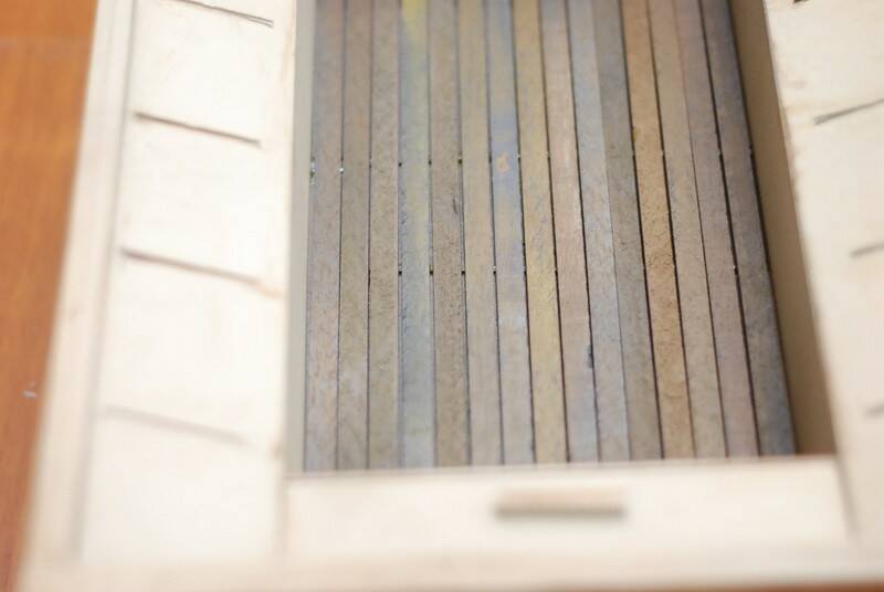 DSC_5537_調整大小.JPG