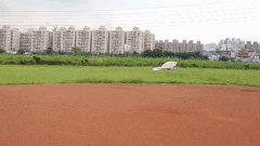 Eagel-2M.gif