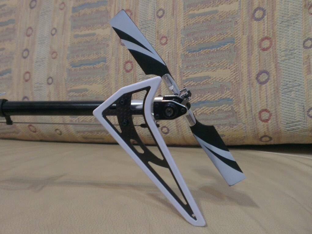 IMAG4259.jpg