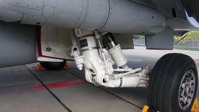 DSC01069-1.JPG
