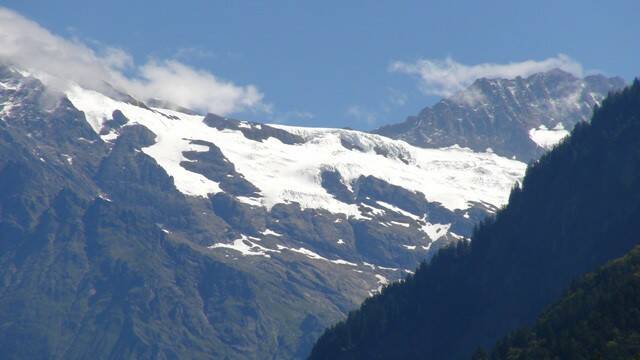 DSC01156-1.JPG