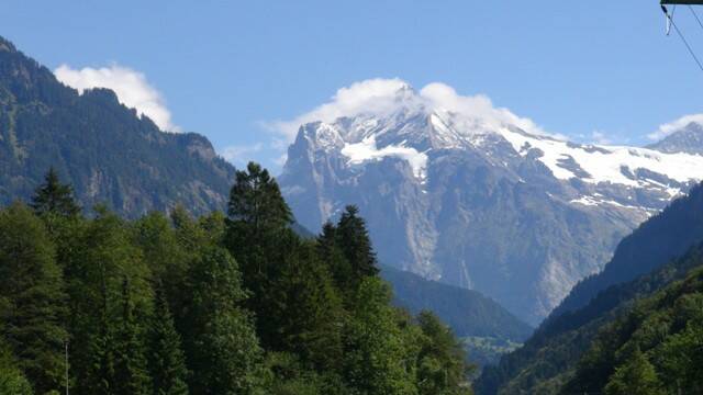 DSC01167-1.JPG