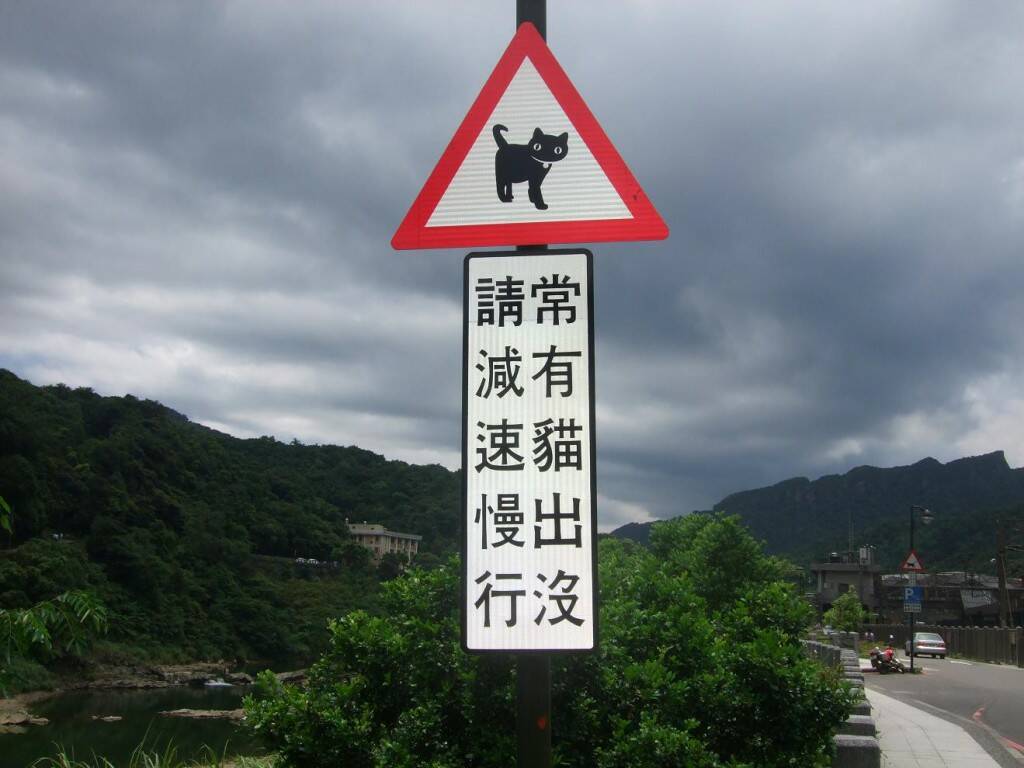 DSCF1081.JPG